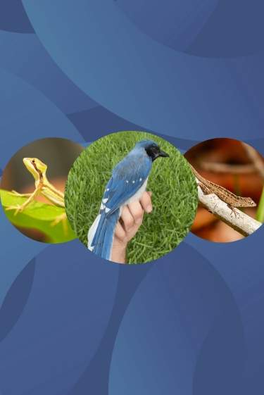 המחקרים החדשים ביותר: מהנשמדע 18/10/2025