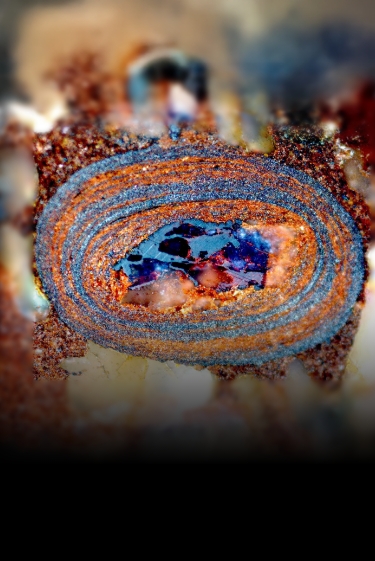 קפסולות הזמן של הים