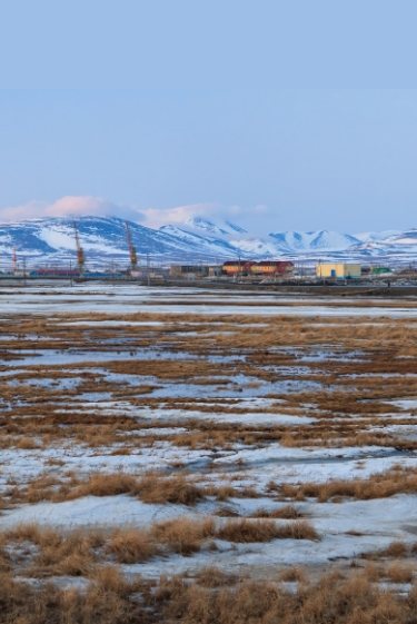 מה קורה לריאה הלבנה של העולם?