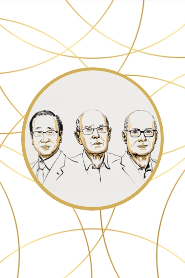 نوبل 2025: دوائر كمّية ومناعة ذاتية وهياكل تلتقط الغازات، عام من الإنجازات العلمية العميقة