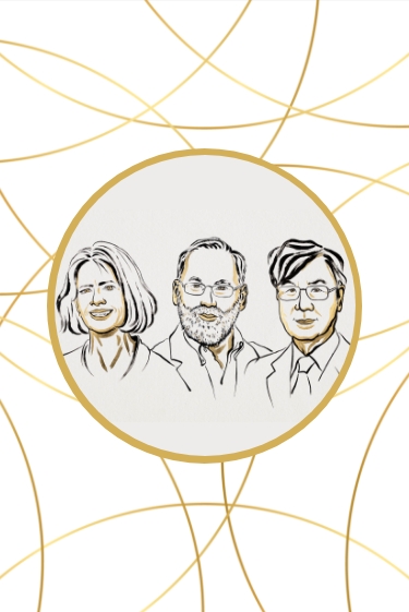 פרס נובל ברפואה 2025: סבילות חיסונית היקפית