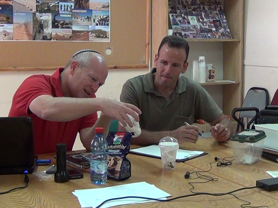 חסר לו אמצעי זיהוי פשוט שיקל על הפקחים. יהלומי (מימין) בוחן עקרבים שתפס עם יורם צביק (משמאל) במהלך העבודה על המגדיר | צילום: באדיבות יורם צביק