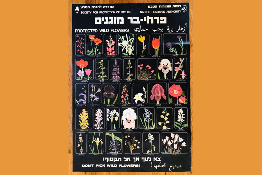 הגה את הסיסמה ״צא לנוף אך אל תקטוף״ במסגרת הקמפיין להצלת פרחי הבר אותו יזם והוביל. פוסטר הפרחים המוגנים של הרשות שמורות הטבע 