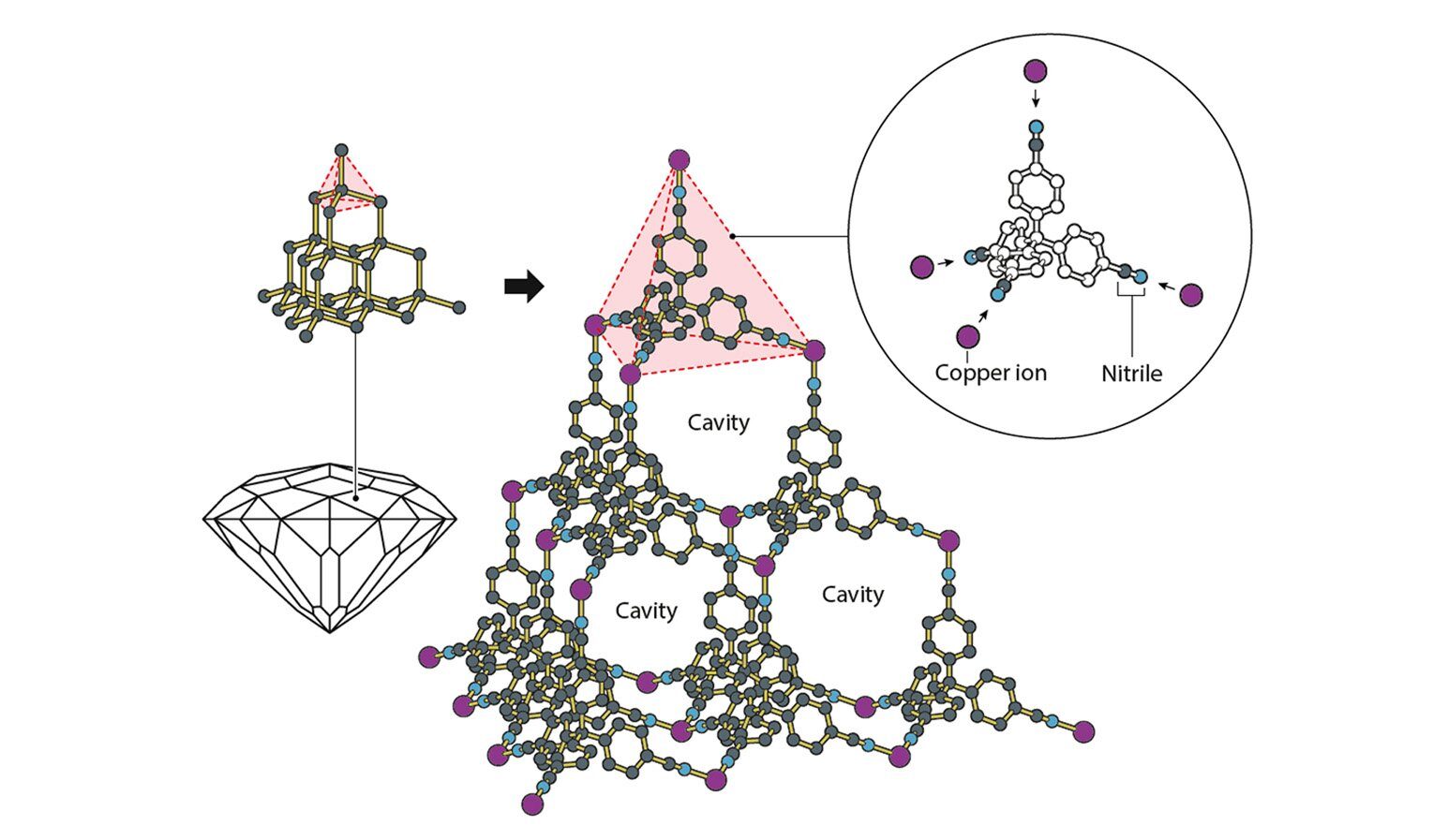Robson took inspiration from the structure of diamond, where each carbon atom bonds to four others in a pyramidal arrangement. Following this pattern, he succeeded in creating a crystal that was both highly ordered and remarkably spacious.