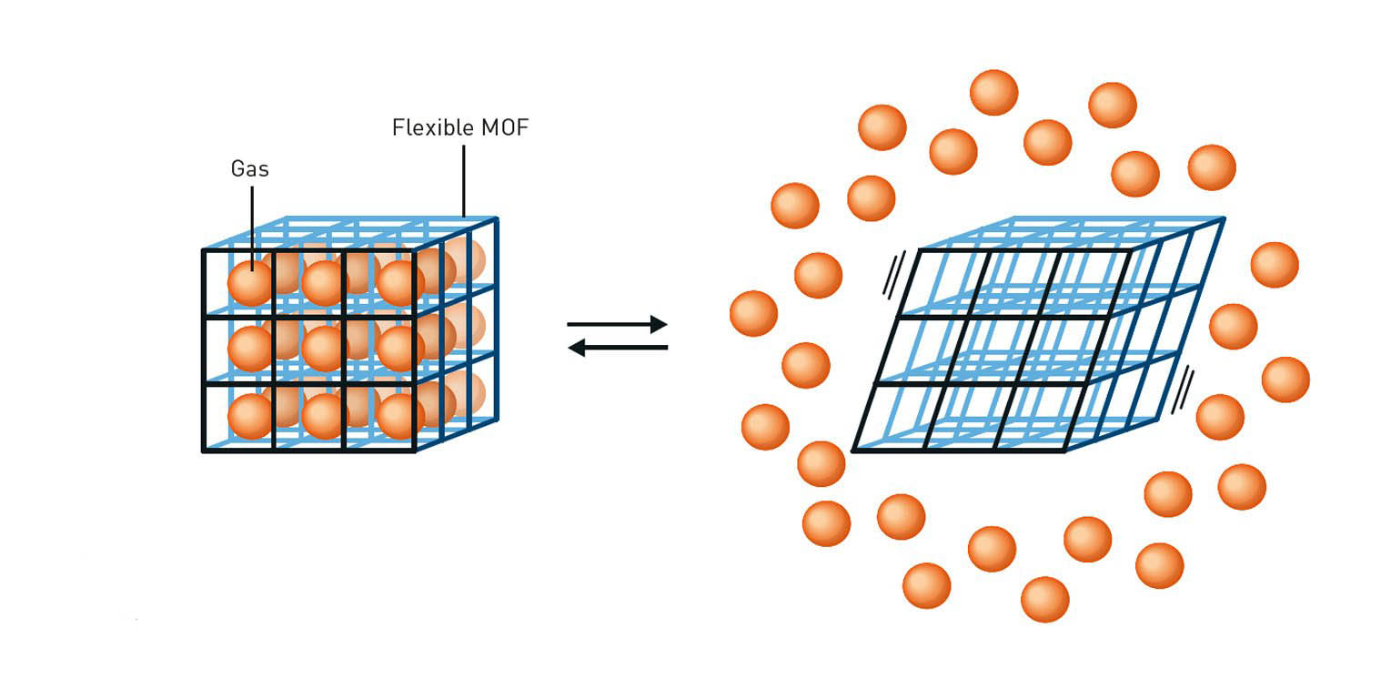Kitagawa argued that metal–organic frameworks (MOFs) could be made flexible. Today there are many flexible MOFs that can change shape, for example, expanding or contracting when filled with or emptied of different substances.