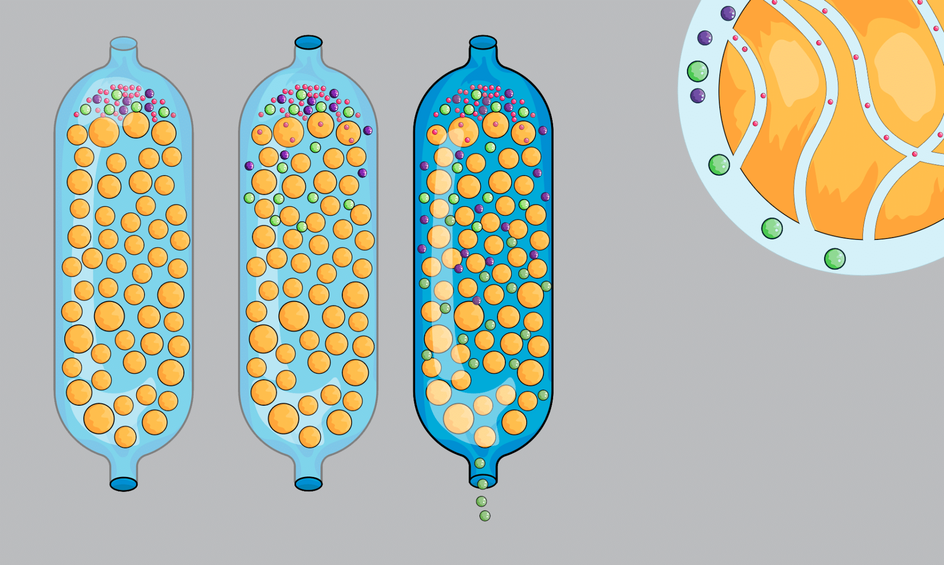 שיטה שמאפשרת לבודד חלבונים במהירות וביעילות. שימוש בכרומטוגרפיית זיקה לבידוד מולקולות ביולוגיות באמצעות העברת הדגימה בצינורות עם ג'ל המכיל את החלבון שקושר את החומר המבוקש | איור: Art of Science, Shutterstock