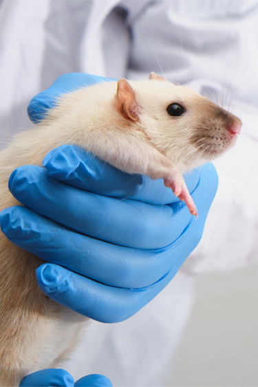 חברתו הטובה ביותר של המדען