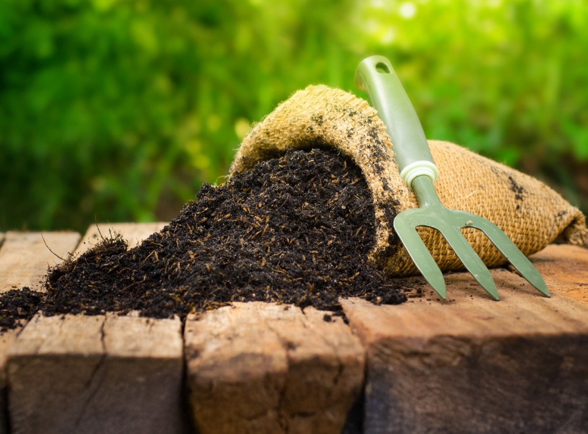 כעת פותח חומר דמוי פחם מצואת בני אדם, שישמש לייצור דשן יעיל וידידותי לסביבה. שק דשן | Singkham, Shutterstock
