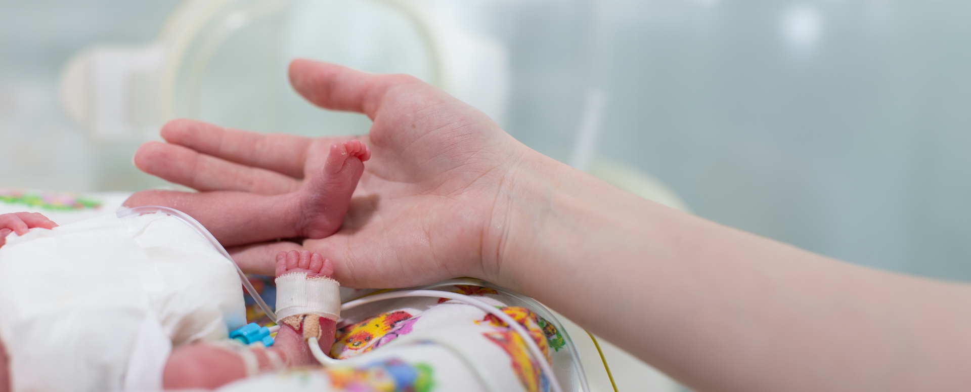 אם מחזיקה רגל של פג באינקובטור | Shutterstock, Kristina Bessolova