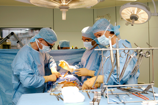 המטרה הייתה לבדוק אם איברים שמקורם בחזירים מהונדסים גנטית עשויים לשמש בעתיד להשתלה בבני אדם חיים. ניתוח השתלת איבר | Aj Photo / Science Photo Library