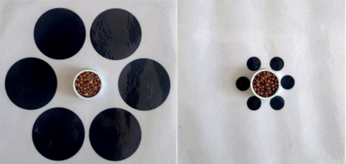 תורי הטבעת לא נפלו באשלייה. המבחן שהוצג לתורים | מקור: מתוך המאמר, CC BY 4.0