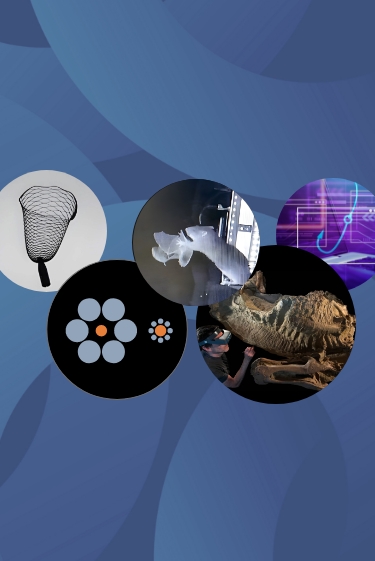 המחקרים החדשים ביותר: מהנשמדע 8/11/2025