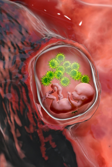 גילוי ישראלי: מנגנון שמפחית את הסכנה לעובר בהיריון