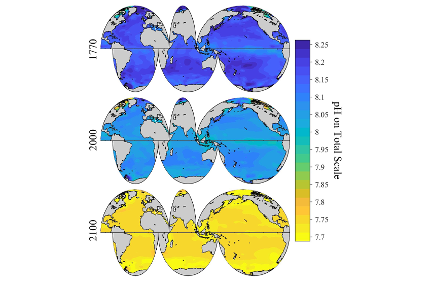 היכולת של הפיטופלנקטון לקבע פחמן עלולה להיפגע ככל שריכוז הפחמן הדו-חמצני באוקיינוסים עולה. חומציות האוקיינוסים ב-1770, ב-2000 ותחזית לשנת 2100 | NOAA