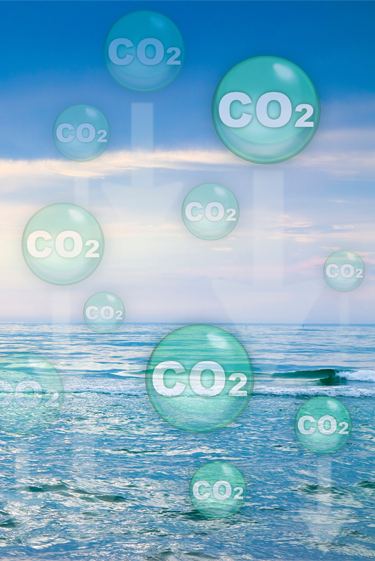 ההחמצה שעלולה להאיץ את התחממות כדור הארץ