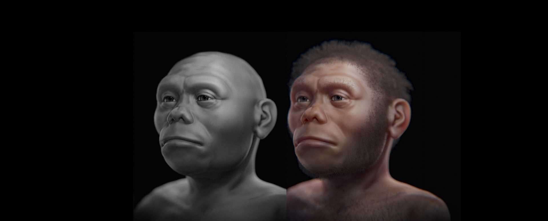 Did a Drying Climate Doom the Hobbits?