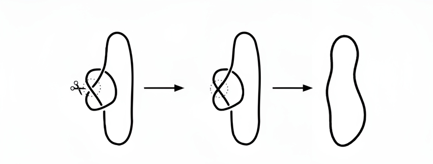 התרת קשר באופן מתמטי: מדמיינים שחותכים חבל שעובר מתחת לצומת, מעבירים את הקצוות מעל הצומת ומדביקים | יוסי אלרן