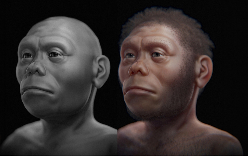 ייתכן שנכחדו עקב שינוי אקלים שהוביל להתייבשות מקורות המים. אדם ממין הומו פלורסיינסיס | איור: Cicero Moraes, Wikimedia