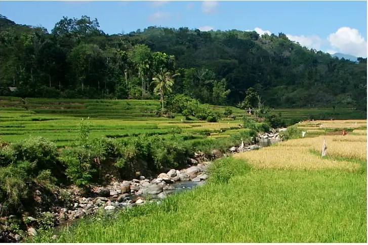 העצמות וכלי האבן של ההוביטים שנמצאו בפלורס מעידים על כך שהם חיו שם מלפני כ-200 אלף שנים לפחות, עד לפני כ-50 אלף שנים. אזור מערת ליאנג בואה בפלורס | Garry K Smith