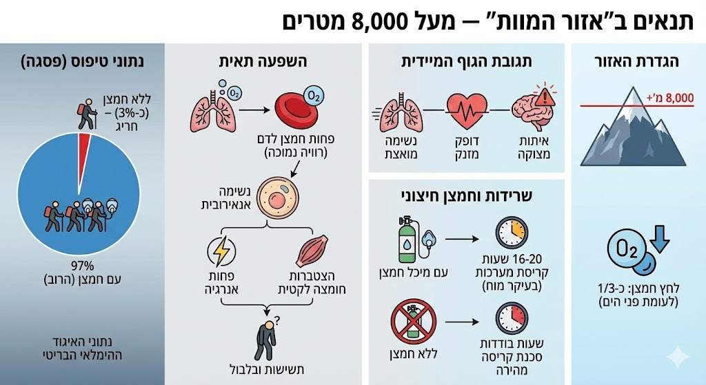 ליאת פלי בעזרת ג'מיני 