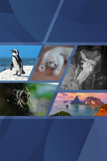 המחקרים החדשים ביותר: מהנשמדע 27/12/2025