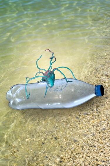 החיידקים שמפרקים פלסטיק