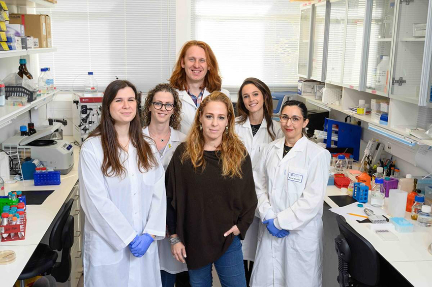 מימין לשמאל (נגד כיוון השעון): ד"ר מרב שמואלי, ד"ר פאולה אנטונלו, ד"ר ארסניי לובוב, עינב לזר, קארין גולדברג ופרופ' יפעת מרבל במרכז | צילום: מכון ויצמן למדע