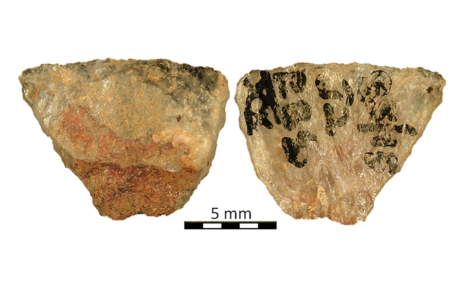 שאריות זעירות של תרכובות אורגניות שמקורן בצמחים רעילים. ראשי החץ עם שאריות רעל | Marlize Lombard