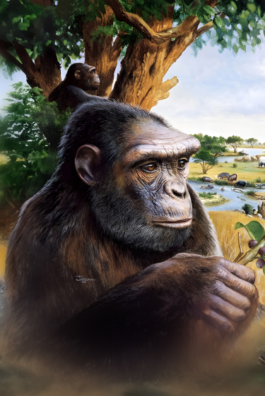 מתי התחלנו ללכת על שתיים?