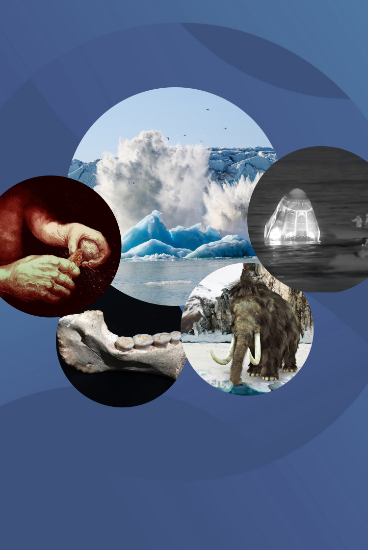 המחקרים החדשים ביותר: מהנשמדע 17/1/2026