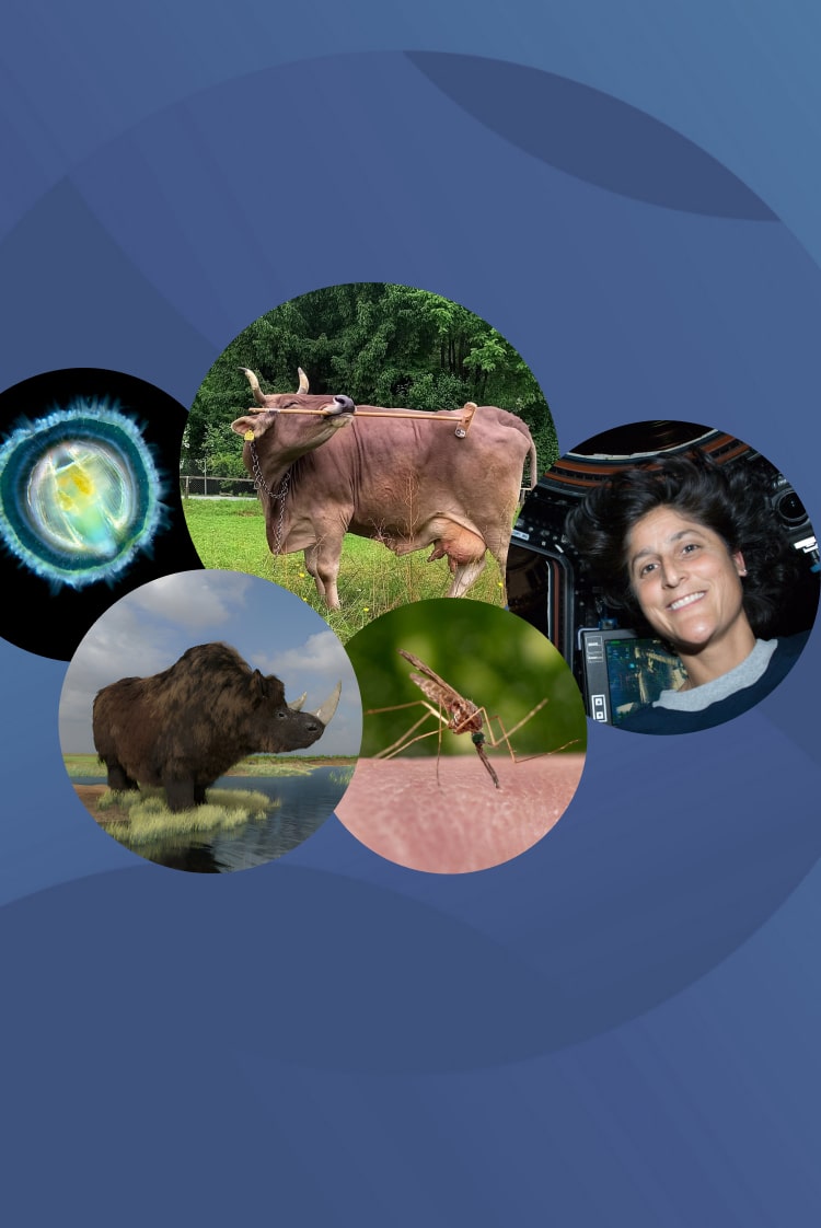 המחקרים החדשים ביותר: מהנשמדע 24/1/2026