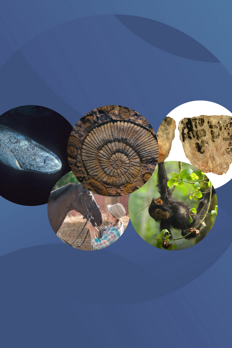 המחקרים החדשים ביותר: מהנשמדע 30/1/2026