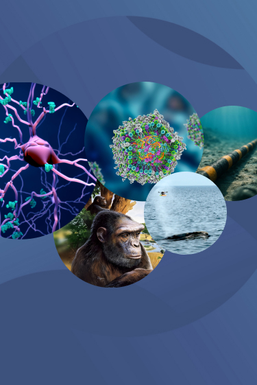 המחקרים החדשים ביותר: מהנשמדע 10/1/2026