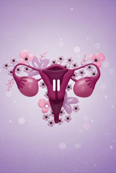 ברוכה הבאה לגיל המעבר