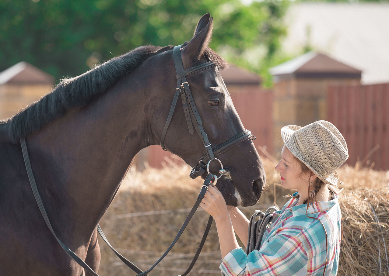 אצל סוסים לחץ יכול לנבוע מחישה של פחד. סוס ומטפלת | ERainbow, Shutterstock