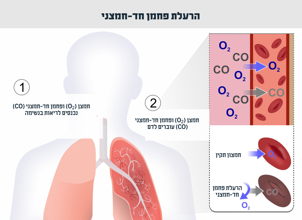 זה מתחיל בכאבי ראש ובלבול, ועלול להגיע מהר מאוד לפרכוסים ואף למוות. מה קורה בעת הרעלת פחמן חד-חמצני? | איור: KAMAKSI, Shutterstock