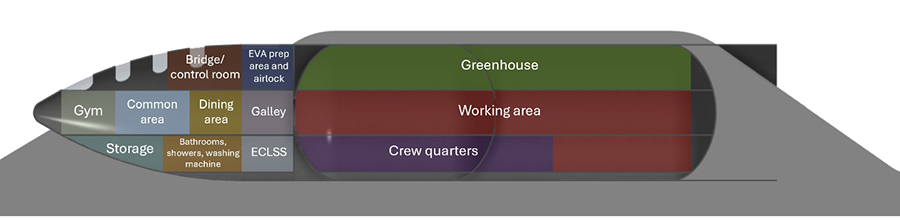 האזור של מכלי הדלק יוסב לחממה לגידול צמחים, אזור עבודה ומתחם מגורים בחלק התחתון, המוגן ביותר מקרינה. תרשים החלוקה הפנימית של מבנה בסיס הירח בסטארשיפ | איור: שי מונט 