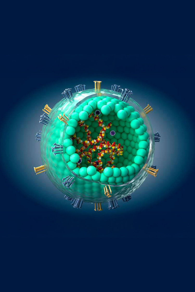 מחלות ללא גבולות: הקורבן ה-16 של החצבת