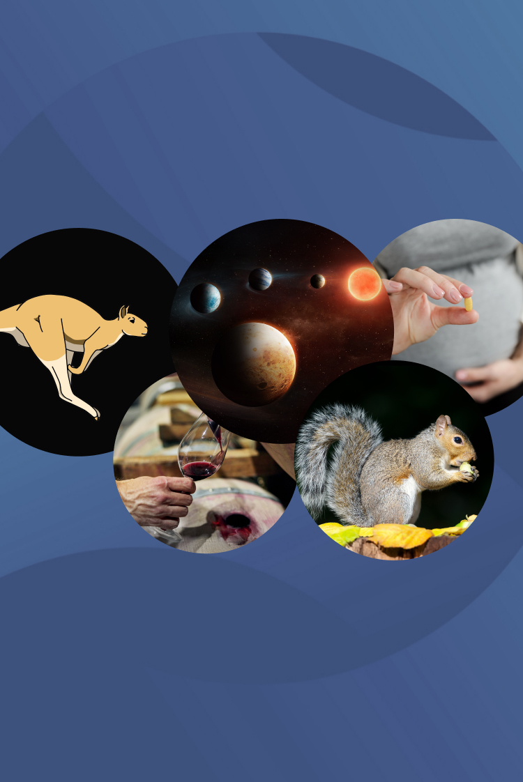 המחקרים החדשים ביותר: מהנשמדע 20/2/2026