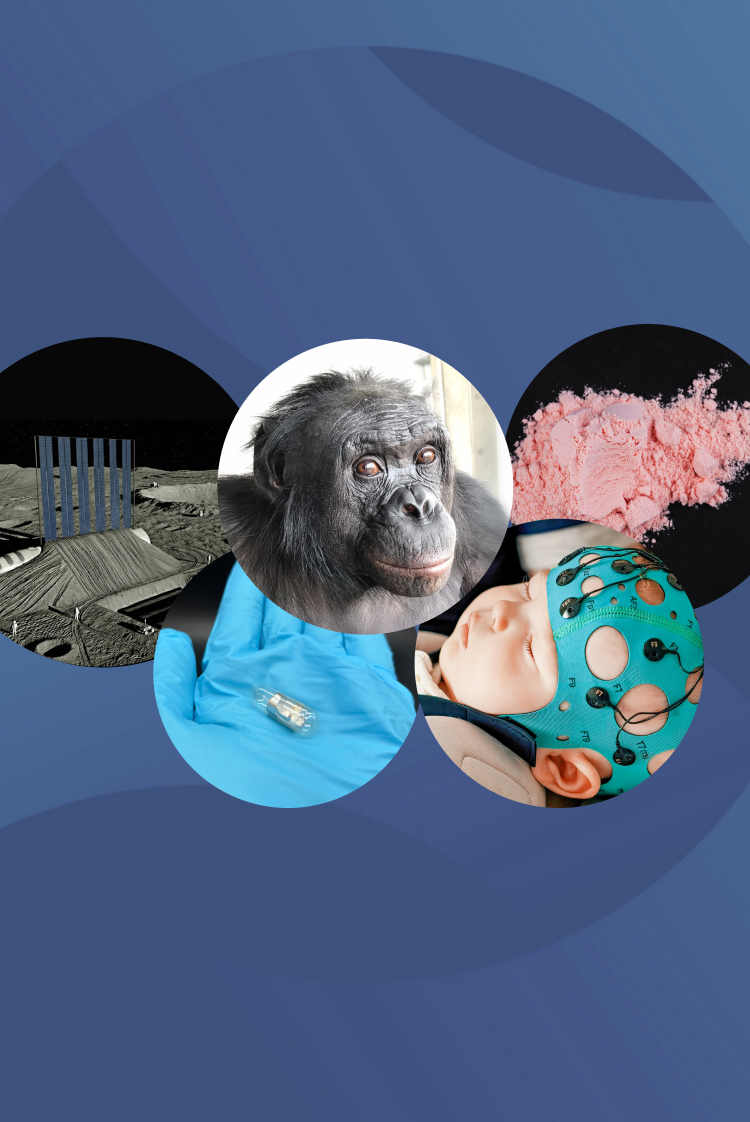 המחקרים החדשים ביותר: מהנשמדע 13/2/2026