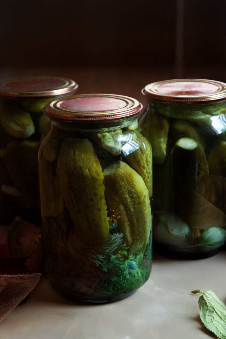 שיעור בשימור: להתכונן ליום שאחרי