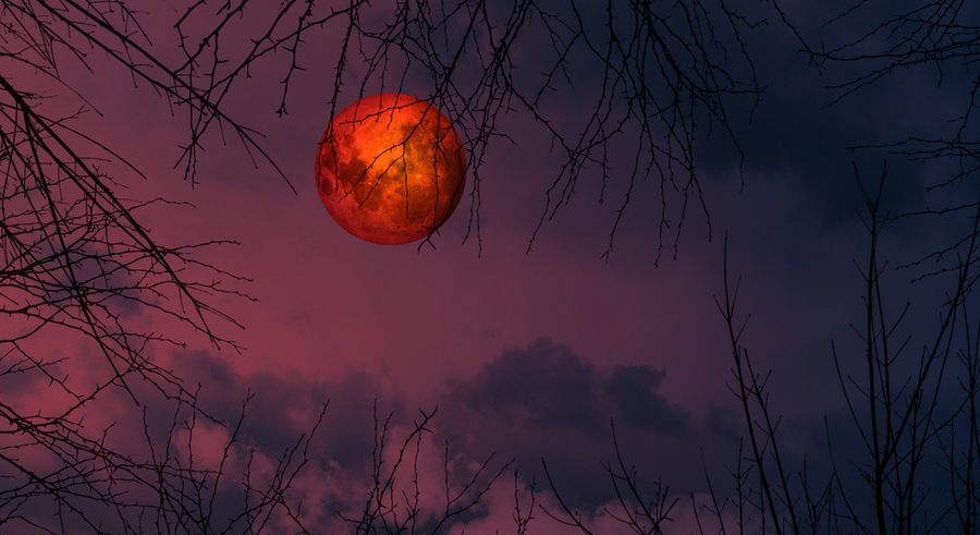 הירח נצבע אדום כשהוא עובר בצל של כדור הארץ. ליקוי ירח מלא | צילום: Gergitek, Shutterstock