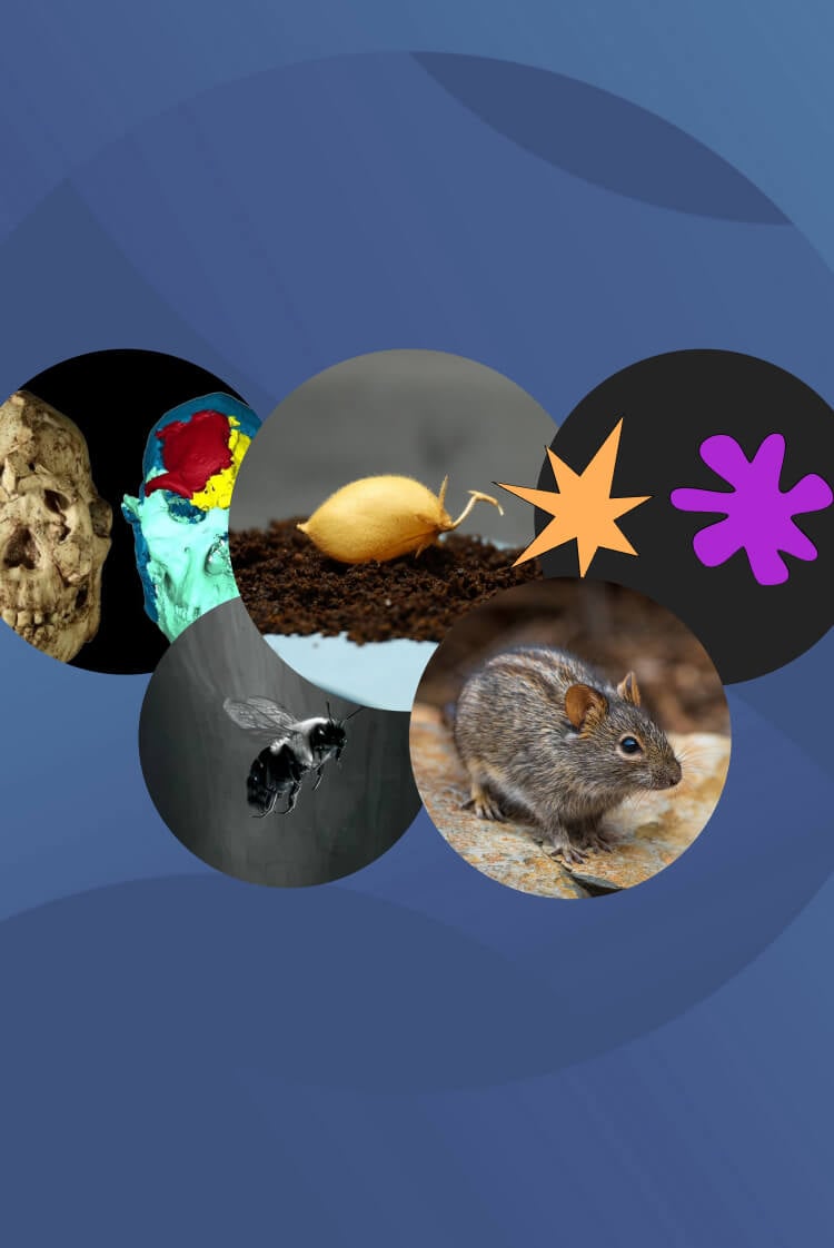 המחקרים החדשים ביותר: מהנשמדע 13/3/2026