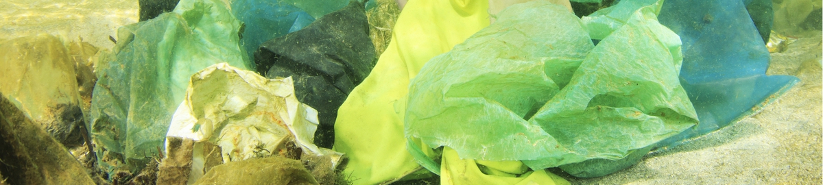 האקולוגיה של הפלסטיק בקרקעית הים