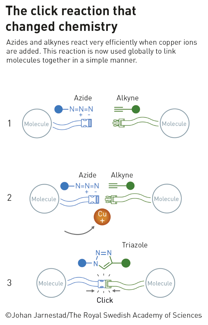 Click chemistry