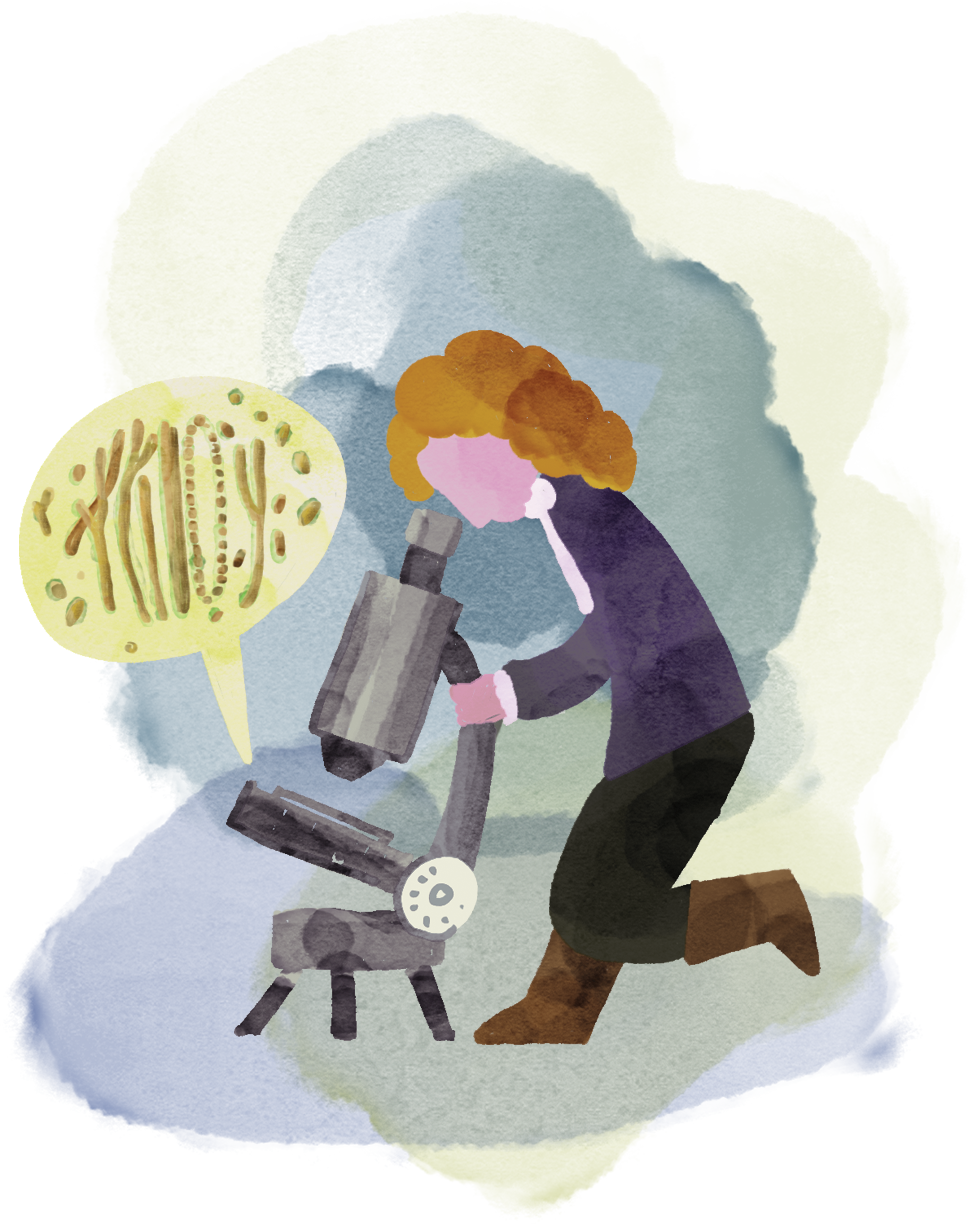 איור: פריאל חכים