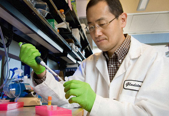 הצליח לגרום לתאי גוף בוגרים להפוך שוב לתאי גזע. חתן פרס נובל שיניה ימאנאקה | צילום: אוניברסיטת קליפורניה, סן פרנציסקו