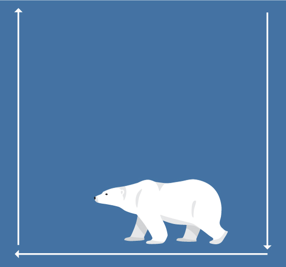 דוב לבן | Olga Lebedeva, Shutterstock