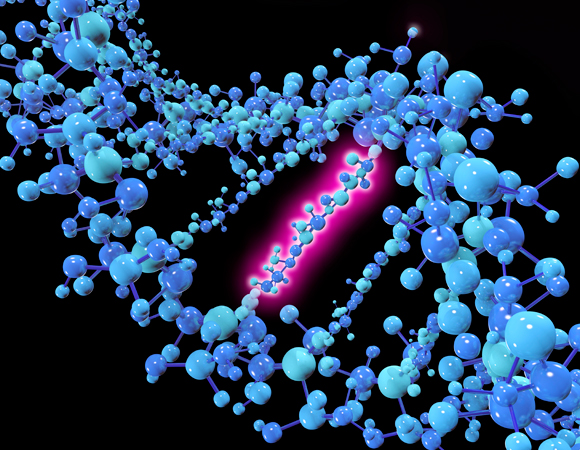 יכולה להתרחש באקראי או בעקבות חשיפה לקרינה וכימיקלים. מוטציה נקודתית | איור: Science Photo Library