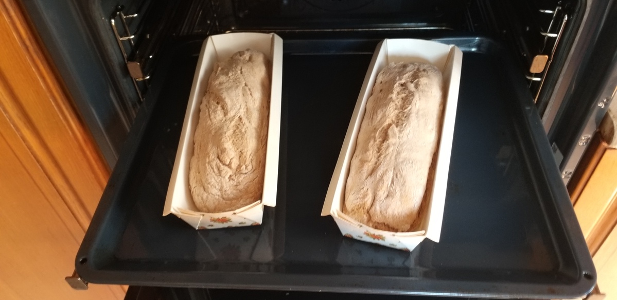 הכיכרות בדרך לתנור | צילום: דפנה מנדלר